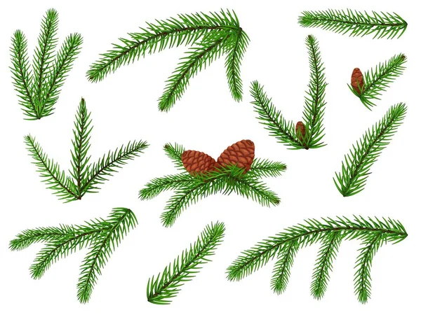 Fir branch icon set isolated on white background — Stock Vector