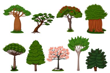 Summer trees set. Isolated dragon, baobab, sakura