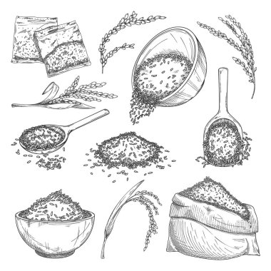 Rice sketch set. Isolated sacks with grain, seeds