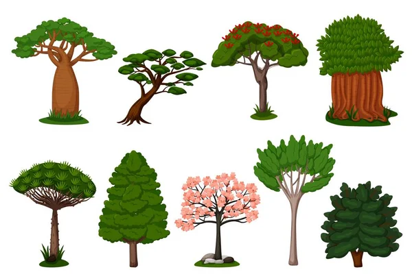 Summer trees set. Isolated dragon, baobab, sakura — Stockvector