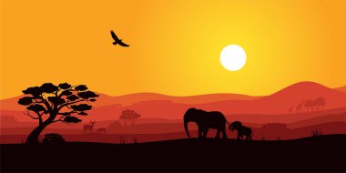 Vahşi hayvan siluetiyle Safari Afrika günbatımı