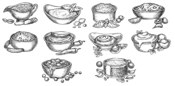 Salsa condimento con ingredientes menú bosquejo conjunto — Archivo Imágenes Vectoriales