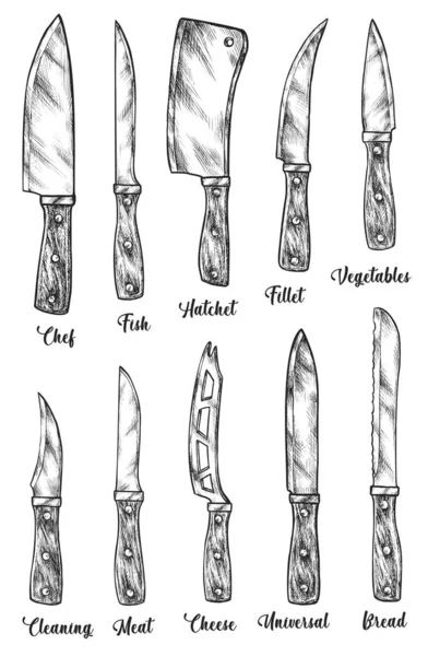 Cocina cuchillo afilado tipo herramienta aislado bosquejo conjunto — Archivo Imágenes Vectoriales