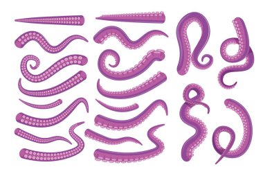 Ahtapot spirali, kıvrımlı, düz dokunaç seti