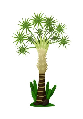 Beyaz arkaplanda izole edilmiş ananas ağacı