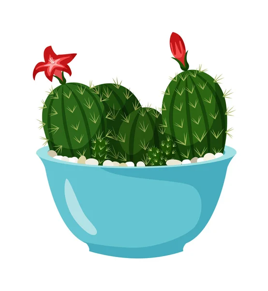 Cactus en fleurs en pot isolé sur fond blanc — Image vectorielle