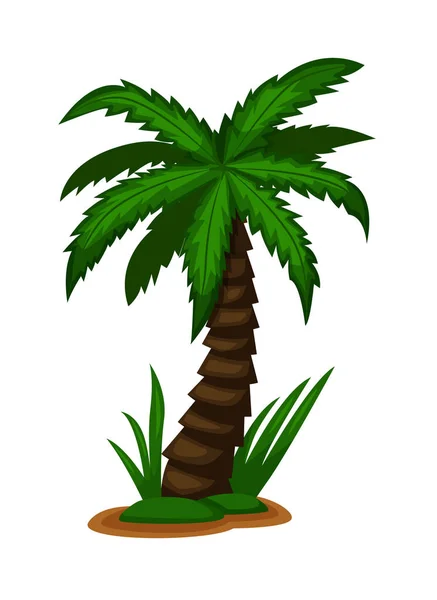 Grüne Palme isoliert auf weißem Hintergrund — Stockvektor