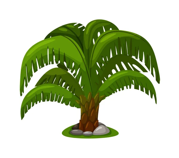 Palme mit reichem Laub isoliert auf weißem Hintergrund — Stockvektor