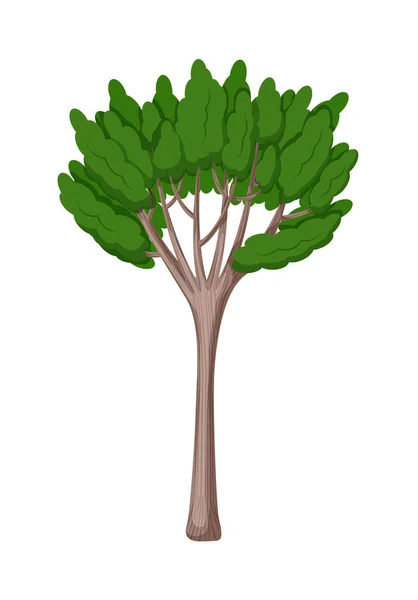 Árbol verde para el diseño del paisaje aislado en blanco — Vector de stock