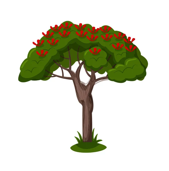 Árbol verde con flor roja aislada en blanco — Archivo Imágenes Vectoriales