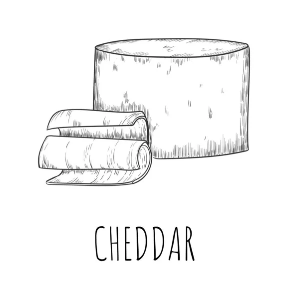 Τυρί Cheddar γαλακτοκομικά προϊόντα τροφίμων σκίτσο απομονωμένο — Διανυσματικό Αρχείο