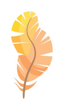 Beyaz arkaplanda yalıtılmış eğri tüy kuşu