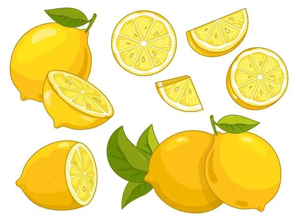 Citrusschijfje citroen geïsoleerd op witte achtergrond. — Stockvector