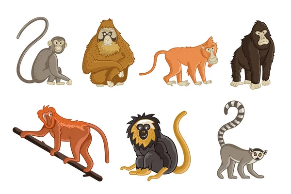 Macacos dos desenhos animados. Animais selvagens e zoológicos —  Vetores de Stock