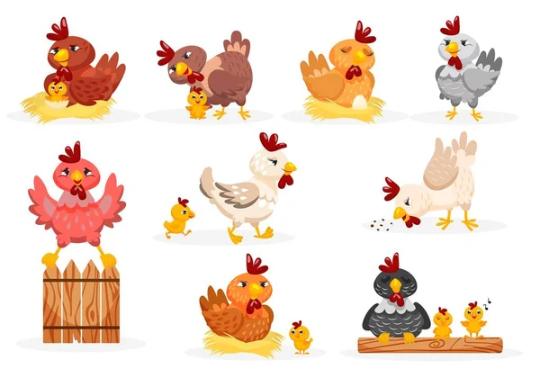 Set de gallinas y pollitos — Vector de stock