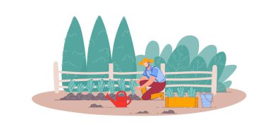 Sebze ekiyorum. İzole edilmiş bahçıvan.