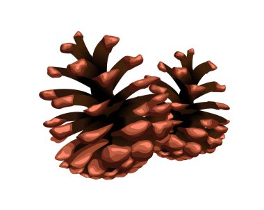 Çam kozalağı Noel çelengi elementi beyaza izole edildi