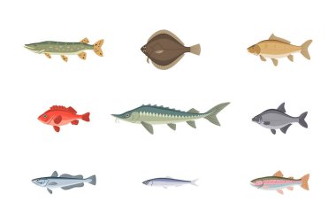 Nehir ya da deniz altı balıkları beyaz üzerine izole edilmiş.