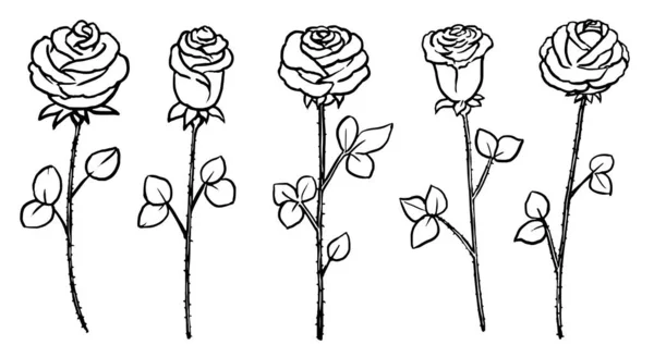 Ręcznie rysowane łodygi kwiatów róży odizolowany zestaw — Wektor stockowy