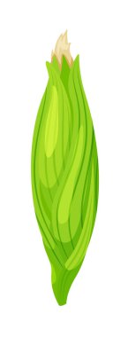 Beyaz arkaplanda yaprak içinde karikatür mısır koçanı