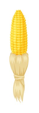 Kuru kabuktan soyulmuş mısır koçanı.