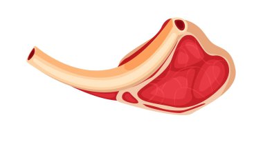Beyaz arka planda taze kemikli çiğ et.