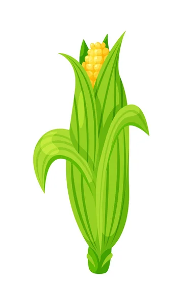 Kartun jagung tongkol dalam kulit diisolasi pada latar belakang putih - Stok Vektor