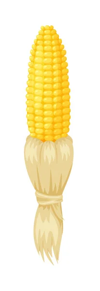 Caricatura mazorca de maíz pelado de cáscara seca aislado — Vector de stock