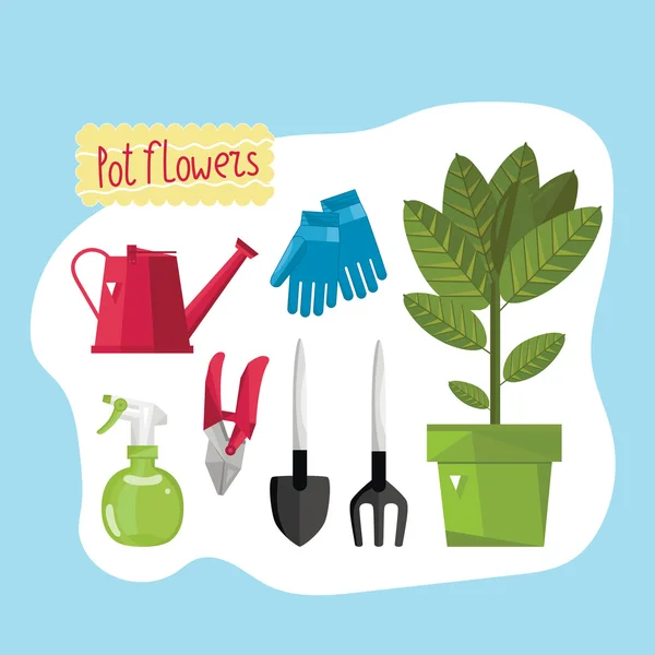 Hermosas plantas de casa . — Vector de stock