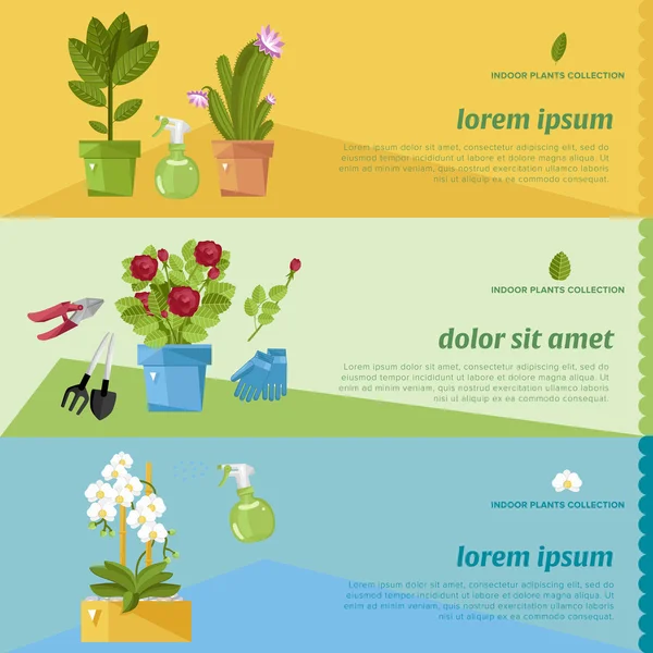 Hermosas plantas de casa . — Vector de stock