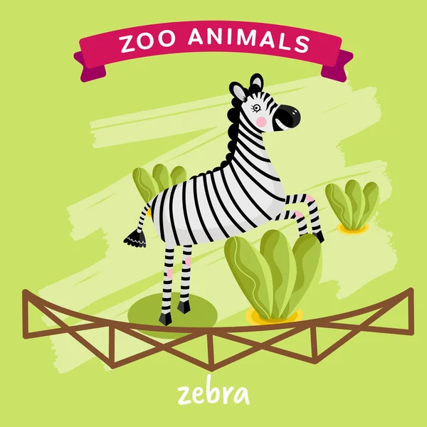 Vector Zoo Animal, Zebra — Stock Vector