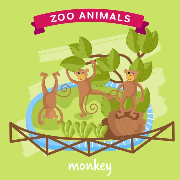 Vector Zoo Animal, Monkey — ストックベクタ