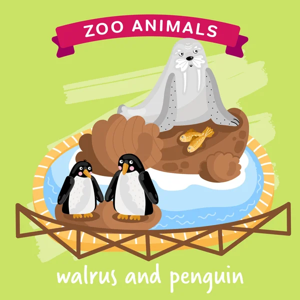 Vector Zoo Animales, Morsas y Pingüinos — Vector de stock