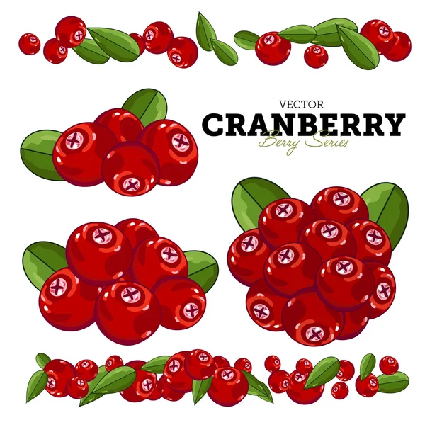 Cranberry Set, Vector. — Stock Vector