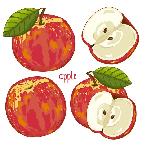 Manzana aislada, vector . — Vector de stock