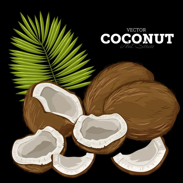 Coconut Isolated, Vector. — Stockový vektor