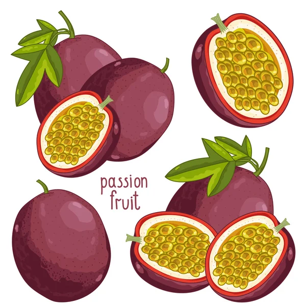 Fruta de la Pasión Aislada, Vector . — Archivo Imágenes Vectoriales