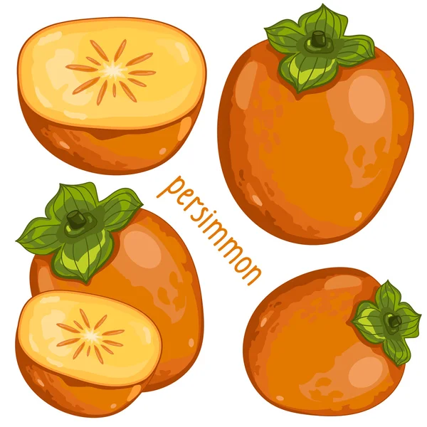 Persimmon Isolated, Vector. — Stockvector