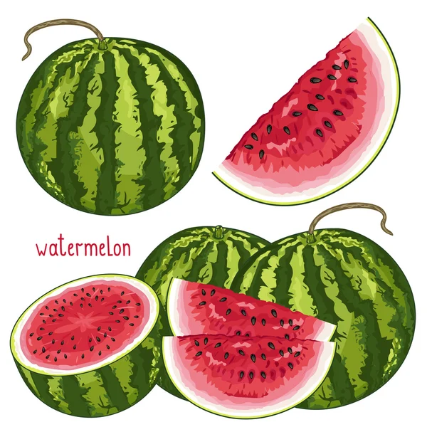Wassermelone isoliert, Vektor. — Stockvektor