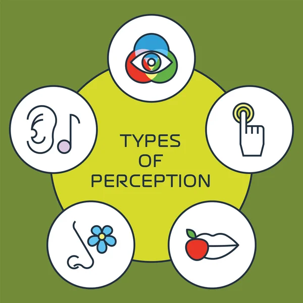 Vijf zintuigen concept — Stockvector