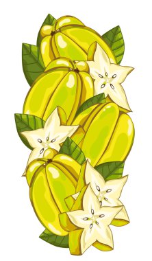 Star Fruit isolated, Vector, composition.