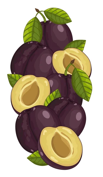 Plum geïsoleerd, Vector, samenstelling. — Stockvector