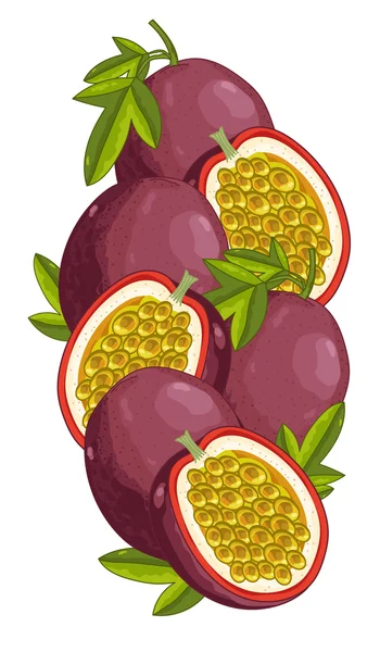 Fruta de la Pasión aislada, Vector, composición . — Vector de stock