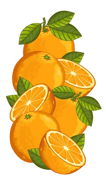 Aislado naranja, Vector, composición . — Vector de stock