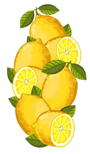 Lemon isolated, Vector, composition. — Stock Vector