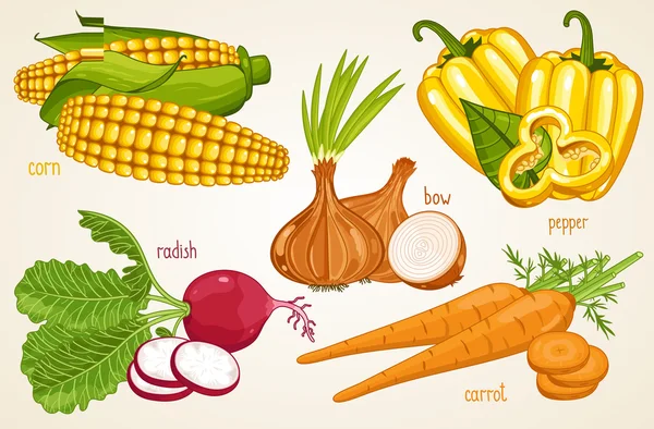 Vegetables vector mix. Organic food, farm food. — 图库矢量图片