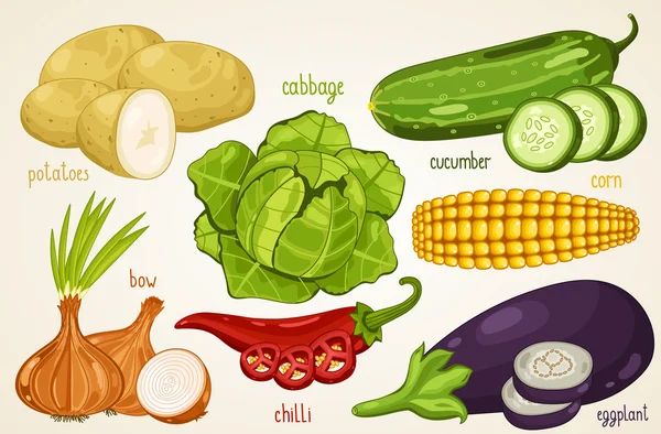 Mélange vectoriel de légumes. Aliments biologiques, nourriture agricole . — Image vectorielle