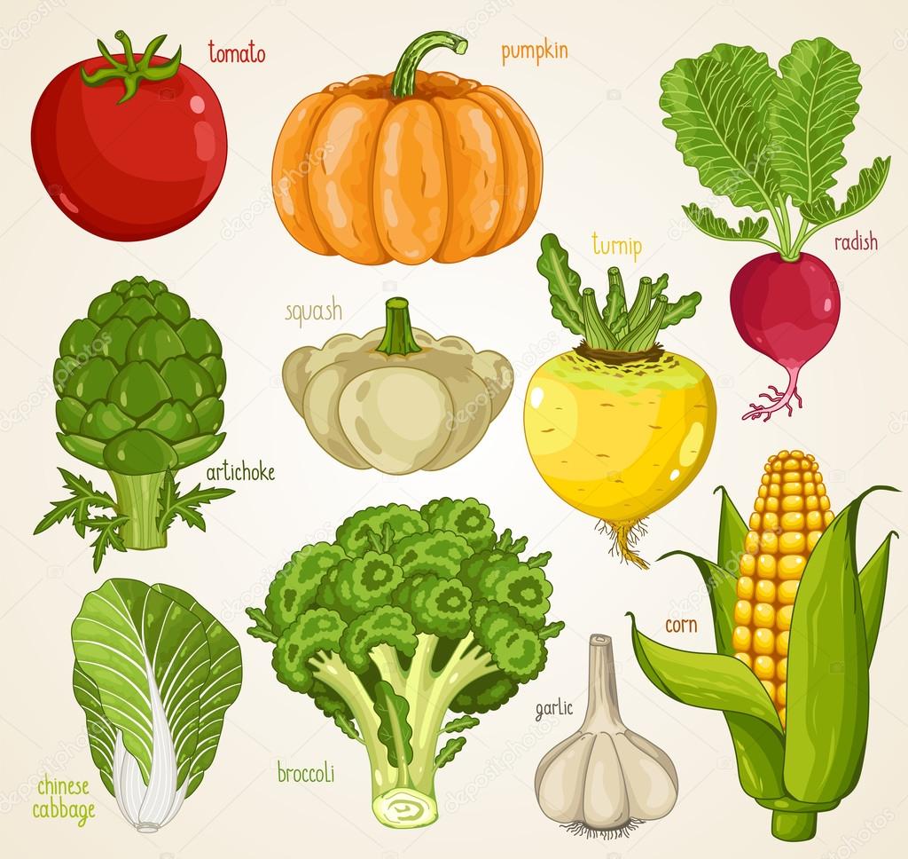 Vegetables vector mix. Organic food, farm food.