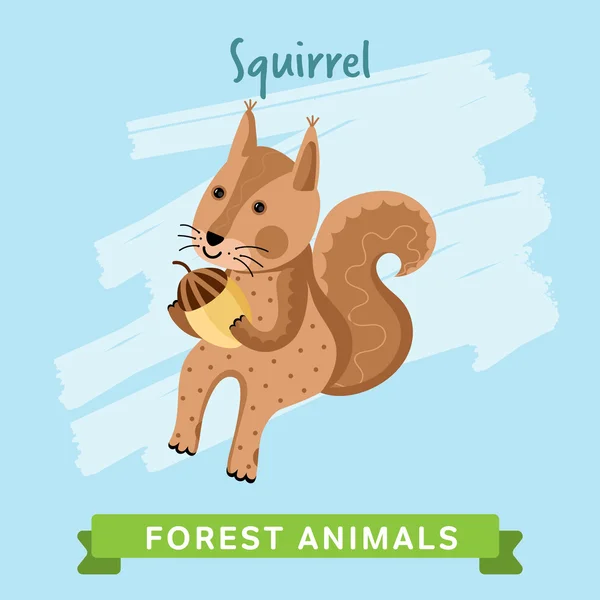 Squirrel Vector, forest animals. — Stock Vector