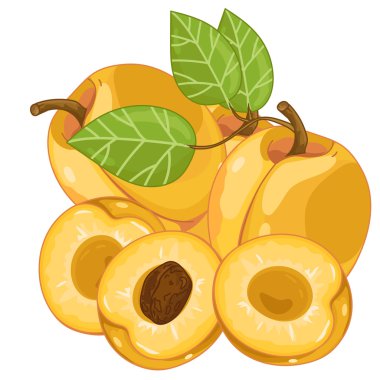 Kayısı kompozisyon göl kenarında